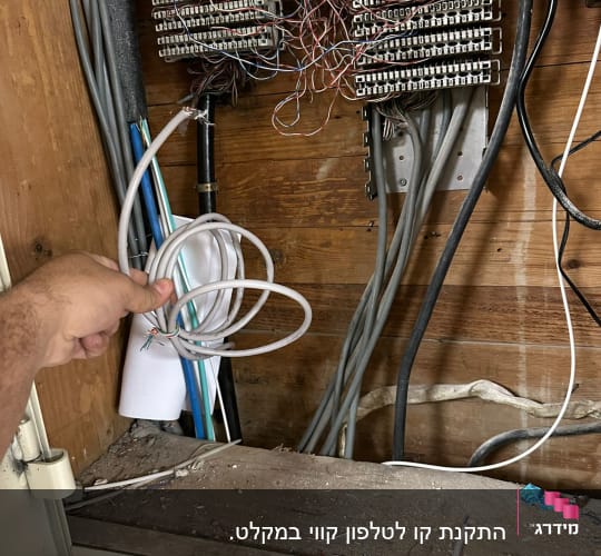 טכנאי מחזיק כבל ליד לוח חיבורים חשמלי